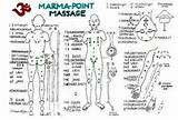 Marma Ayurveda Point Chakras Ayurvedic Reflexology Acupuncture Corpo Pontos Acupressure Acupuntura Artigo sketch template