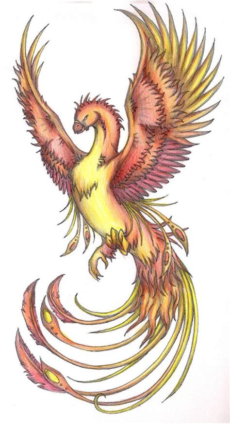phoenix  coloured  terminatress  deviantart phoenix tattoo