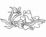 Frog Lily Pad Coloring Drawing Color sketch template