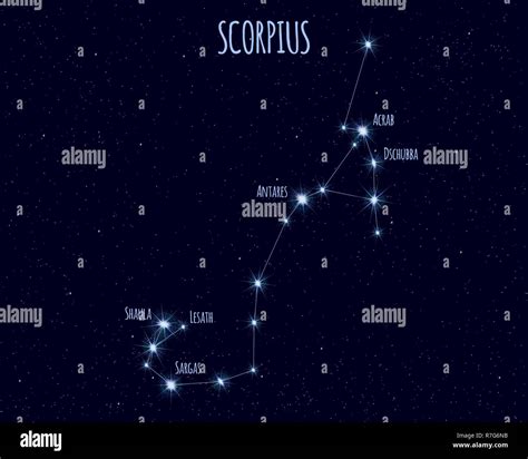scorpius  scorpion constellation vector illustration