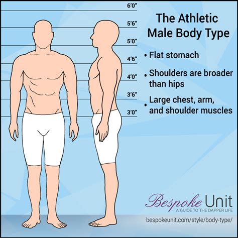 athletic male body type   buy clothes