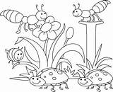 Coloring Pages Bug Cute Insects Getcolorings sketch template