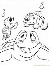 Crush Nemo sketch template