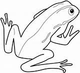 Frog Outline Cliparts sketch template