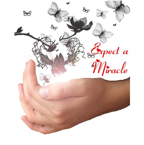 cheryne bloms blog time  expect  miracle
