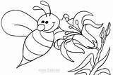 Coloring Pages Bee Bumble Cute Bird Animals sketch template