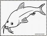 Ikan Mewarnai Lele Patin Sketsa Kartun Animasi Keren Paud Louhan Binatang Bing Hewan Mudah sketch template