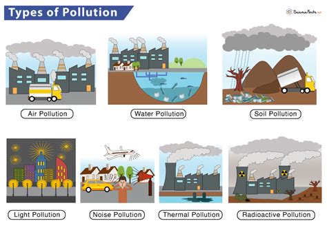 types  pollution sources  effects  prevention