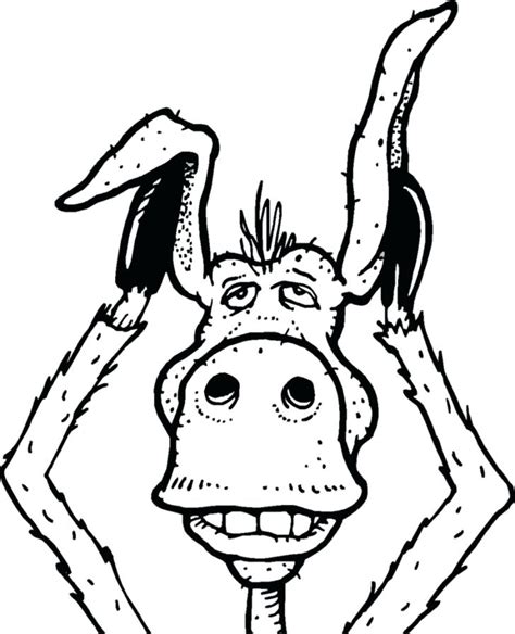 donkey face drawing  getdrawings