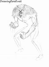 Draw Learning Werewolf Drawingforall Step Ayvazyan Stepan sketch template