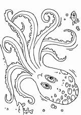 Coloring Cuttlefish Getdrawings Getcolorings Pages sketch template