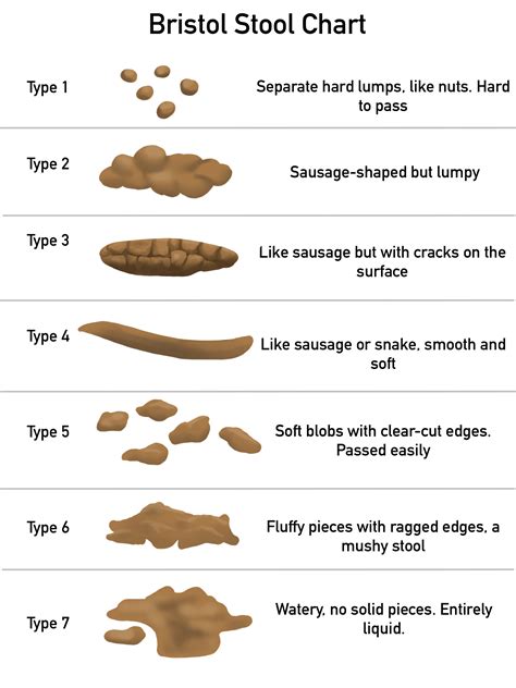 poo   bristol stool chart lystra physical therapy wellness