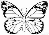 Butterfly Coloring Pages Simple Printable Monarch Cartoon Kids Drawing Color Seniors Cool2bkids Colouring Butterflies Print Getcolorings Colorings Getdrawings But sketch template