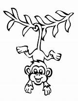 Hanging Coloring Monkey Tree Seç Pano Pages Boyama Sayfaları sketch template
