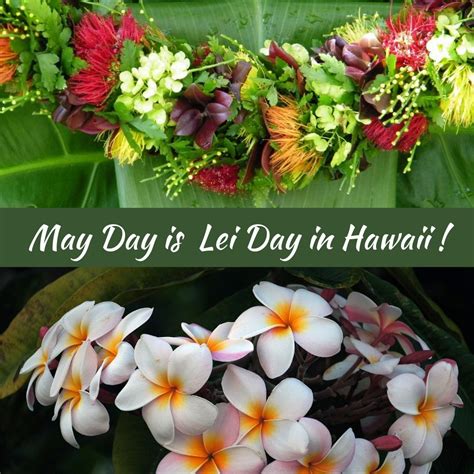 day  lei day  hawaii hawaii hawaiian art  days