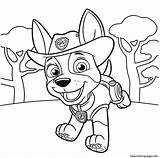 Patrol Paw Coloring Tracker Pages sketch template