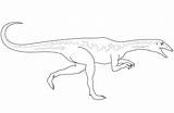 Velociraptor Ausmalbilder Dinossauro Colorir Dinosaurio Dinosaurier Ausmalbild Raptor Troodon Imprimir Disegnare sketch template