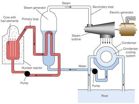 nuclear power plant diagram  complete guide  linquip