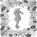 Border Hippocampe Seashell Adultes Zentagle Décoratif Conchiglia Confine Vettore Disegnato Graphique Coquilles Griffonnage éléments Vie sketch template