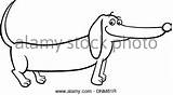 Dog Sausage Coloring Cartoon Getdrawings Drawing Dachshund sketch template