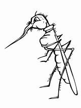 Mosquito Coloring Pages Kids Printable Proboscis Broken Cartoon Bestcoloringpagesforkids Color Colouring Categories Mosquitoes Coloringbay Christmas Template Clipart Choose Board sketch template