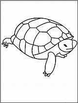 Turtle Coloring Pages Printable Baby Kids Color Template Animal Popular Library Clipart Fun Kaynak Loldolls Coloringhome sketch template