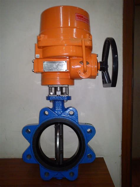 motorized lug type butterfly valve manufacturer manufacturer  ahmedabad id