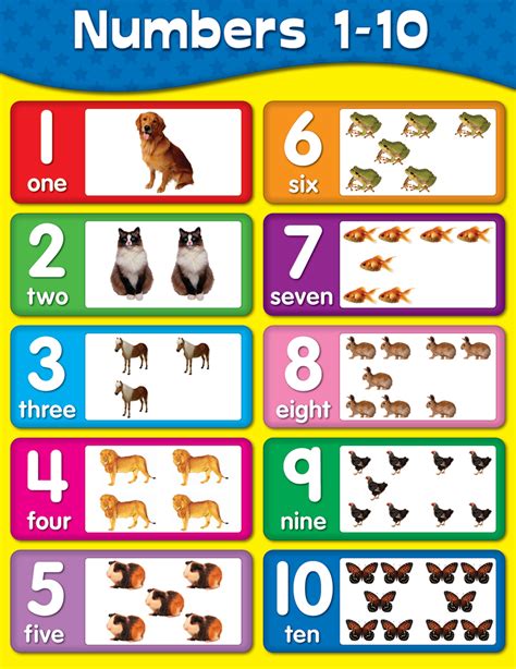 carson dellosa chartlet numbers    picture creative kids