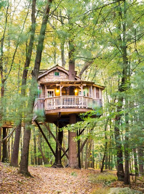 The Midwest Cabin Sampler Cool Tree Houses Tree House Designs