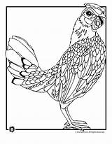 Coloring Pages Chicken Realistic Chickens Animal Drawing Baby Colouring Adults Kids Farm Printable Color Colour Animaljr Only Pattern Jr Ages sketch template