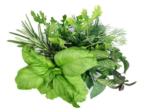 herbs international produce group
