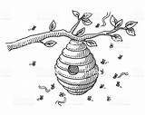 Beehive Branch sketch template