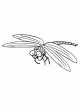 Coloring Dragonfly Topcoloringpages Ladybird sketch template