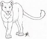 Lioness sketch template