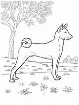 Dog Coloring Pages Teenagers Choose Board Coloringpagesforadult sketch template