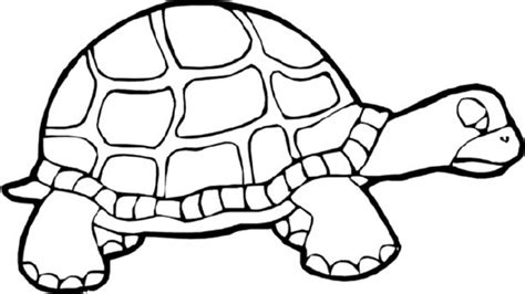turtle math coloring pages   turtle math coloring