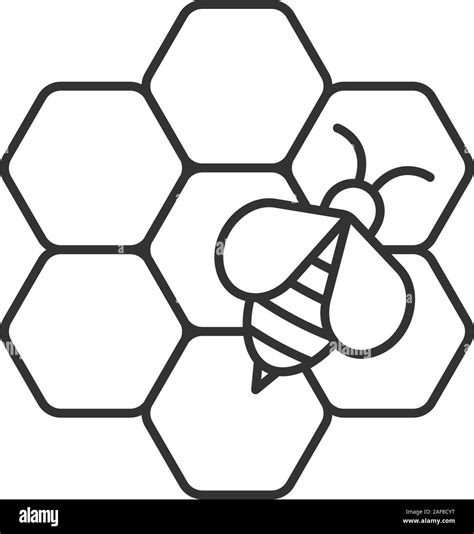 beekeeping linear icon honey bee  honeycomb thin  illustration