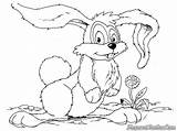 Kelinci Lapin Coniglio Konijn Mewarnai Malvorlage Kaninchen Dents Diwarnai Conejo Coelho Kanin Cheetos Paques Imut Leprotto Rabbits дисней раскраски Schulbilder sketch template