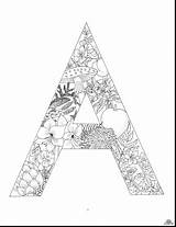 Coloring Pages Alphabet Floral Letter Adult Books Letters Colouring Printable Educational Flower Adults Pattern Sheets Kids Book Designs Print Getdrawings sketch template