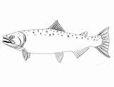 Salmon King Lineart Ricky Deviantart sketch template