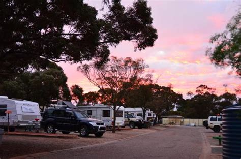 peterborough caravan park updated  campground reviews south