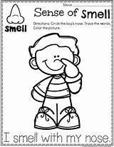 Senses Preschoolers Sentidos Worksheets Ingles Playtime Planningplaytime Smelling Tasting Absurdos sketch template
