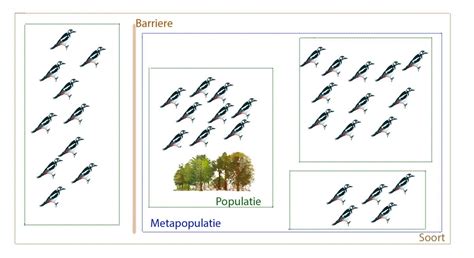 metapopulatie ecopedia