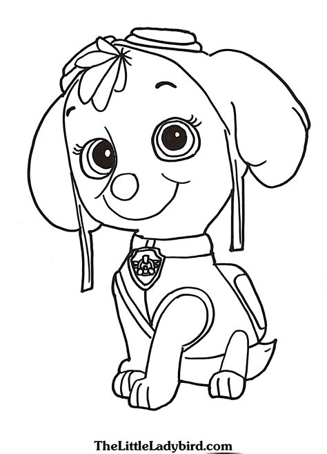 rocky paw patrol coloring page  getcoloringscom  printable