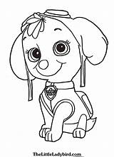 Paw Patrol Rocky Coloring Pages Getcolorings Color Printable Print sketch template