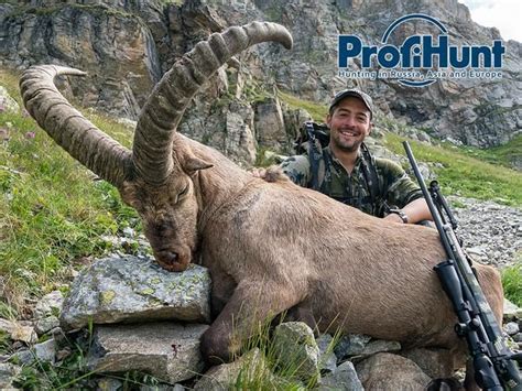 7 day russia west caucasian kuban tur hunt for one hunter