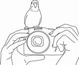 Parakeet Periquito Australiano Imprimir Colorir Tudodesenhos Clarabelle Parakeets sketch template