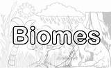 Biomes Worksheets Worksheetplace sketch template