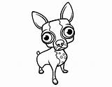 Chihuahua Coloring Colorear Pages Drawing Coloringcrew Book Getdrawings sketch template