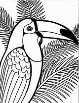 Parrot Coloring Pages Printable Bird Print Colouring Dessin Drawing Adults Coconut Getdrawings Tree Color Visit Getcolorings Svg  Colorings sketch template